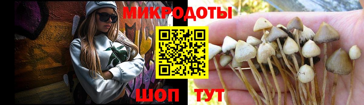 Псилоцибиновые грибы MAGIC MUSHROOMS Прохладный